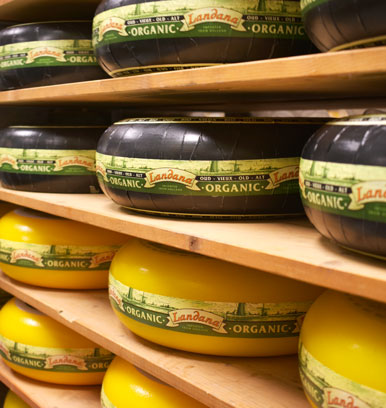 Landana Organic cheese